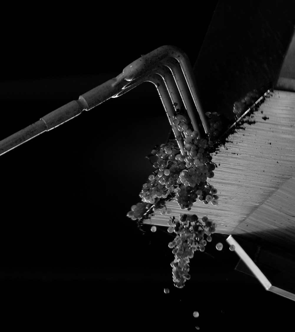 CheckMate-Winery-State-of-the-Art-Winemaking